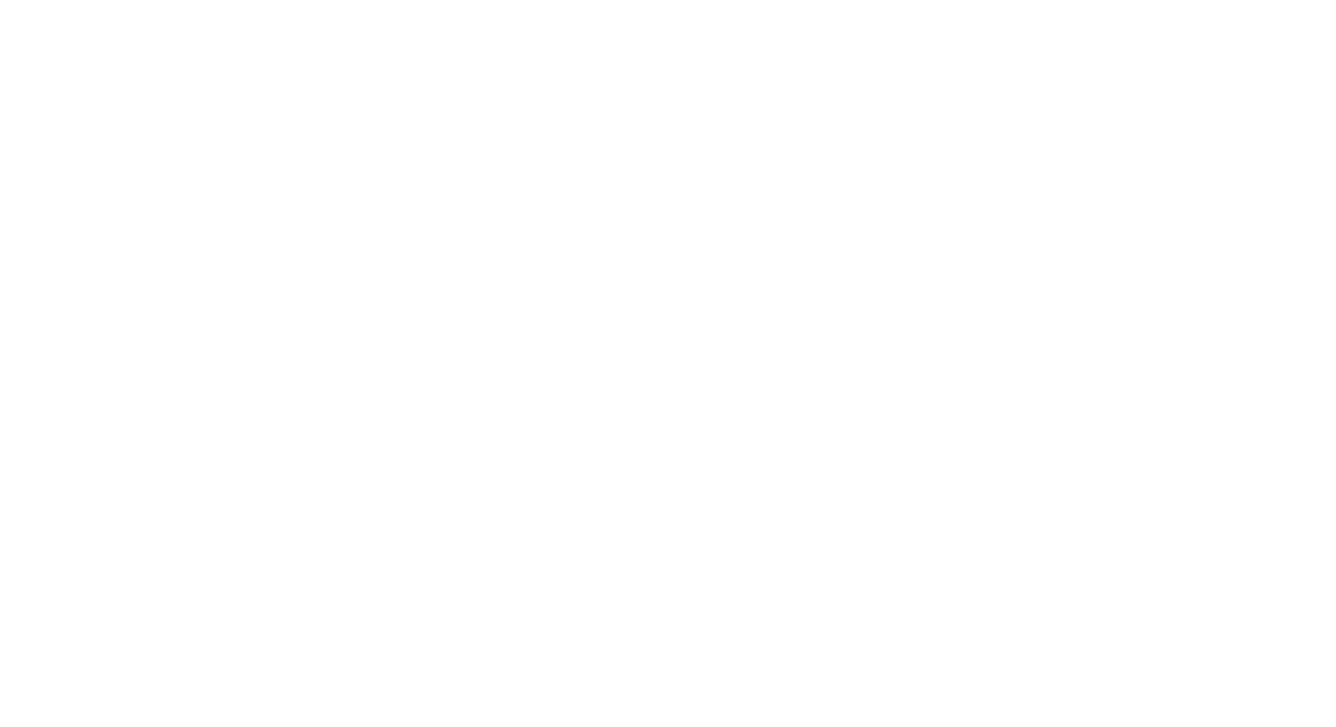 VALUEXPERIENCE blanco 1